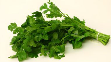 garnishing-instructions-image